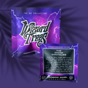 Wizard Trees Rainbow Swirl 2