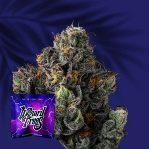 Wizard Trees Sherbz