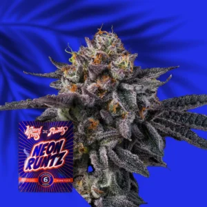 Wizard Trees Vice Runtz 1