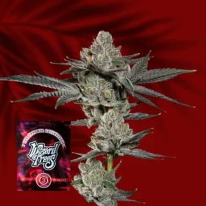 Wizard Trees Z Nerdz