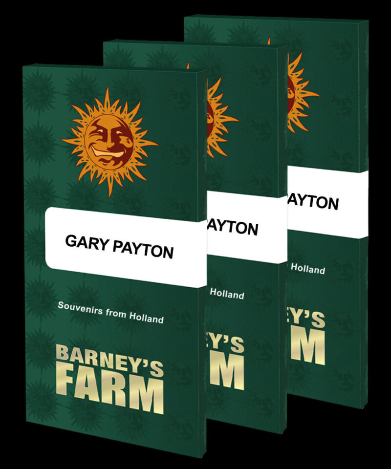 Barneys Farm Gary Payton Barneys Farm Gary Payton