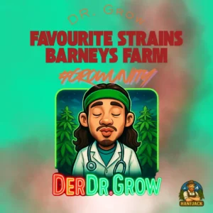 DR. Grow Favourite Strains Barneys Farm