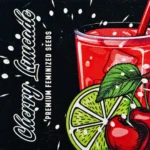 Doja Cherry Limeade - 6 Stück