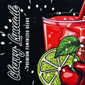 Doja Cherry Limeade