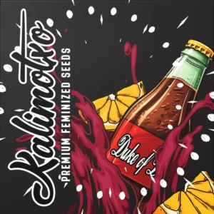 Doja Kalimotxo