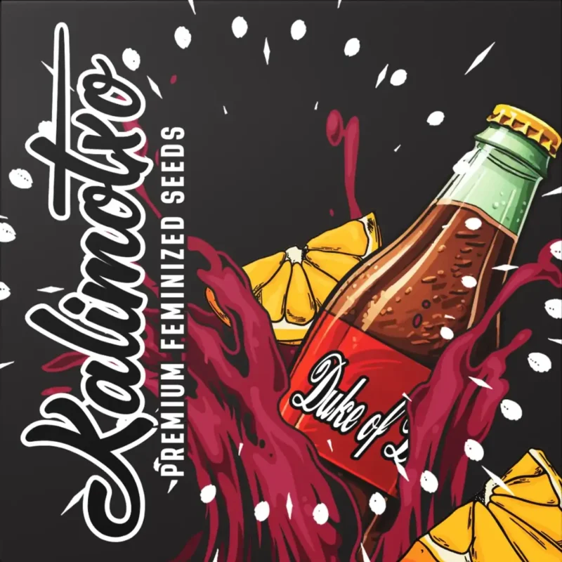 Doja Kalimotxo