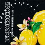 Doja Lemonessence - 6 Stück