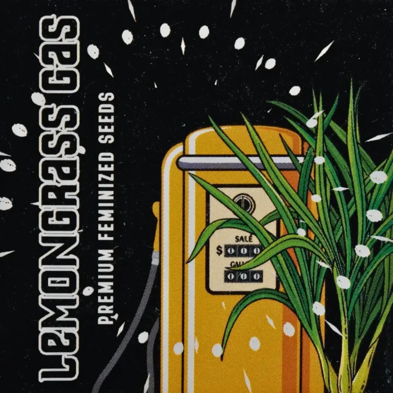 Doja Lemongrass Gas