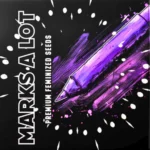 Doja Marks a Lot - 6 Stück