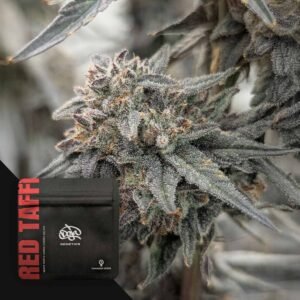 Doja Red Taffi - 3 Stück