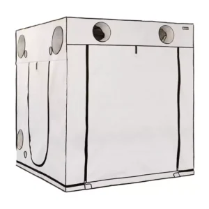 HOMEbox Ambient Q200+ Growbox 200x200x220cm 2