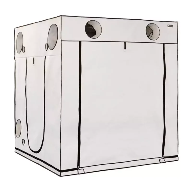 HOMEbox Ambient Q200+ Growbox 200x200x220cm 2