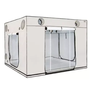 HOMEbox Ambient Q300+ Growbox 300x300x220cm