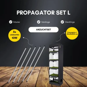 Propagator Set L