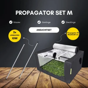 Propagator Set M