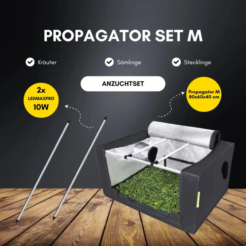 Propagator Set M