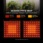 Spider Farmer 120 x 120 x 200 cm Growzelt Set SE5000 3