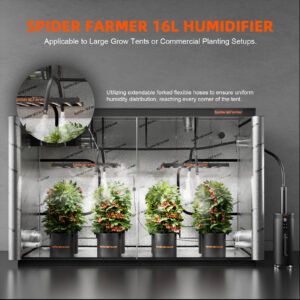 Spider Farmer 16L Cool Mist Luftbefeuchter 2