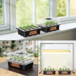 Spider Farmer 4er Pack Anzuchtschalen mit Kuppel 4
