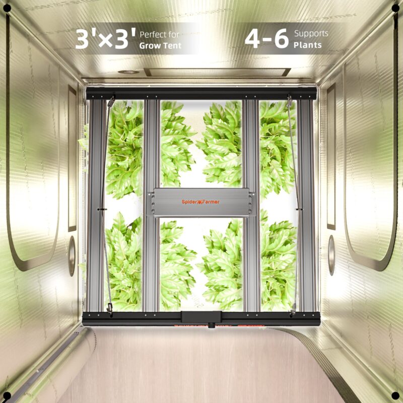 Spider Farmer 90 x 90 x 180 cm Growzelt Set G3000 12