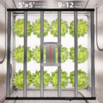 Spider Farmer Automatisiertes Growbox Komplettset – 150×150×200cm für 9 Pflanzen G8600 6