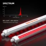 Spider Farmer GlowR80 3