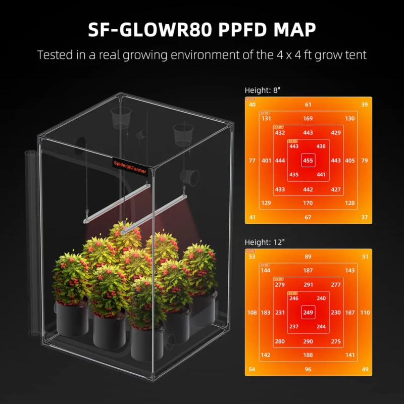 Spider Farmer GlowR80 6