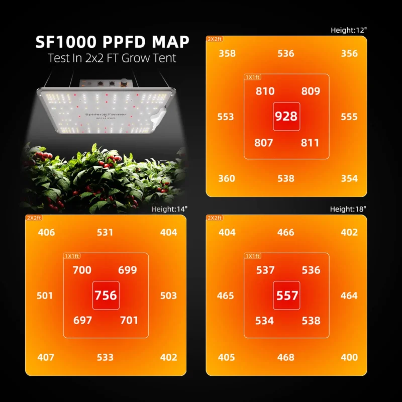 Spider Farmer SF 1000 10