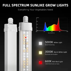 Spider Farmer SF Glow80 2