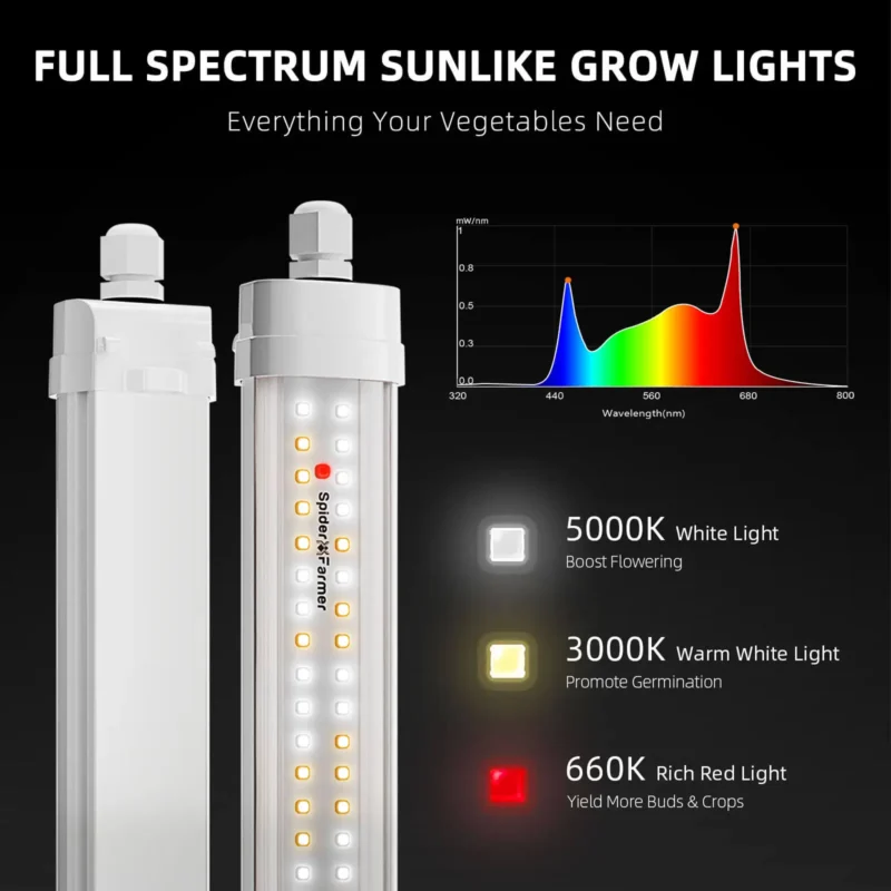 Spider Farmer SF Glow80 2