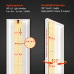 Spider Farmer SF300 33W LED Growlampe