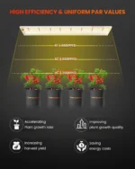 Spider Farmer SF600 Growshelves LED Pflanzenlicht für den Innenbereich und Metall Pflanzenständer mit Pflanzenschalen
