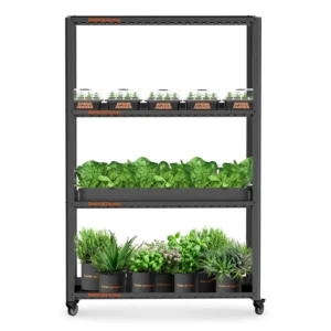 Spider Farmer SF600 Growshelves LED Pflanzenlicht für den Innenbereich und Metall Pflanzenständer mit Pflanzenschalen 2