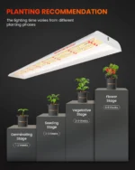 Spider Farmer SF600 Growshelves LED Pflanzenlicht für den Innenbereich und Metall Pflanzenständer mit Pflanzenschalen 3