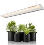 Spider Farmer SF600 Growshelves LED Pflanzenlicht für den Innenbereich und Metall Pflanzenständer mit Pflanzenschalen 4