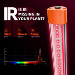 Spider Farmer UV30 & IR16 LED Pflanzenlichtleisten Set 3