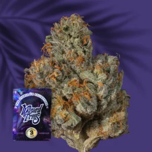 Wizard Trees Big Ben 1