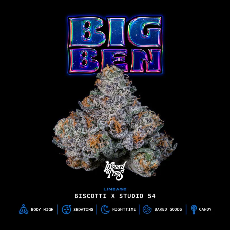 Wizard Trees Big Ben