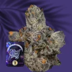 Wizard Trees Lemon Fever
