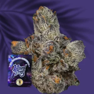 Wizard Trees Lemon Fever