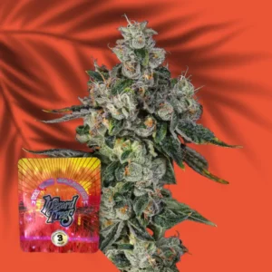 Wizard Trees liit