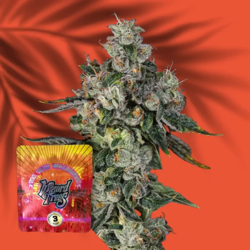 Wizard Trees liit