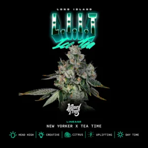 Wizard Trees liit