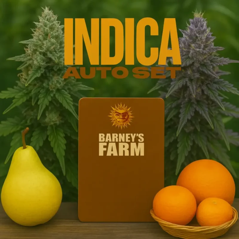 Barneys Farm Indica Auto Set