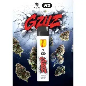 GZUZ H3 Einweg Vape 2