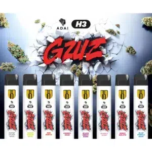 GZUZ H3 Einweg Vape