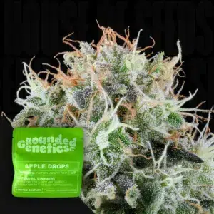 Grounded Genetics Apple Drops 7 Stück