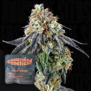 Grounded Genetics Nose Candi