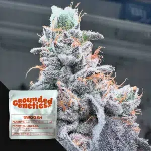 Grounded Genetics Swoosh