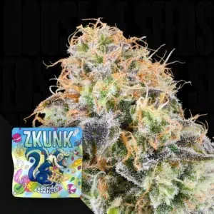 Grounded Genetics Zkunk